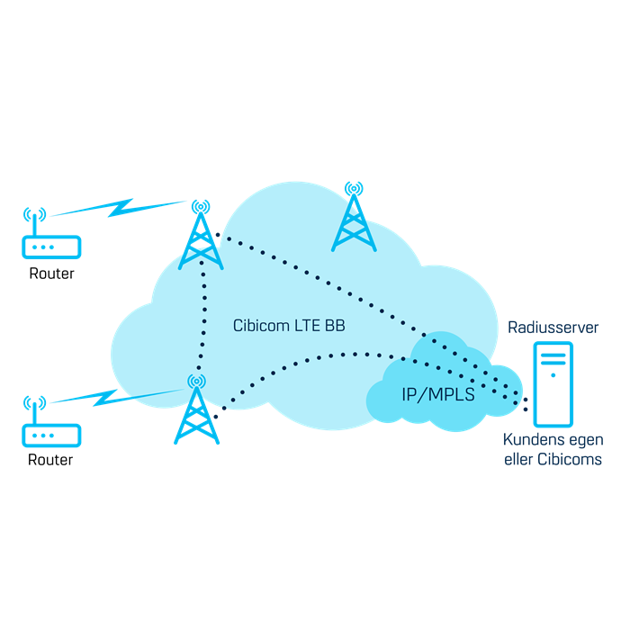 APN-netværk